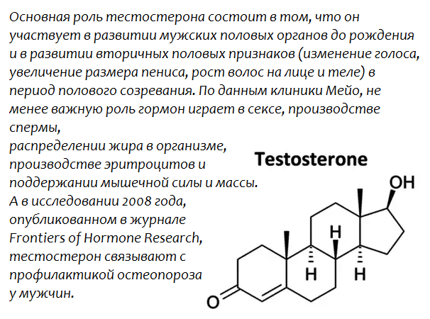 За какие волосы отвечает тестостерон