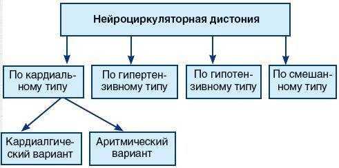 Нейроциркуляторная дистония карта вызова