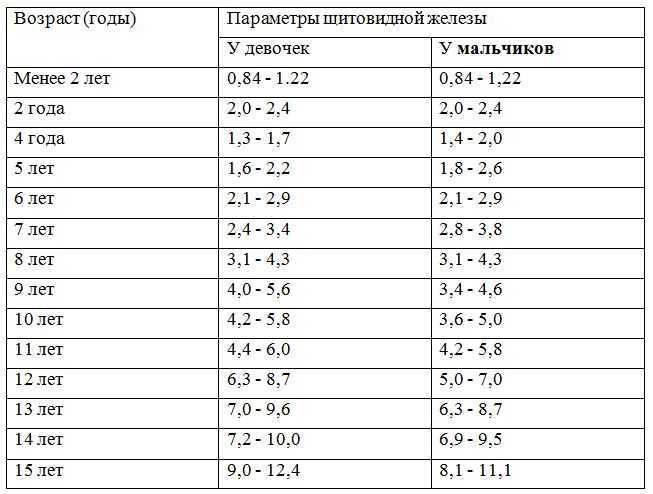 Щитовидная железа фото у женщин норма таблица