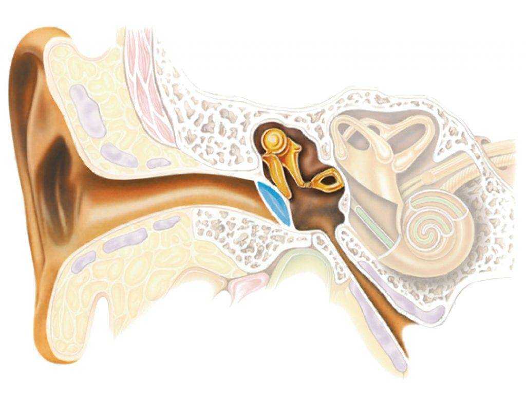 Осложнение слуха. Кохлеарный неврит слухового нерва. Неврит слухового нерва (кохлеарный неврит). Кохлеарный неврит слухового нерва симптомы. Нейропатия слухового нерва.