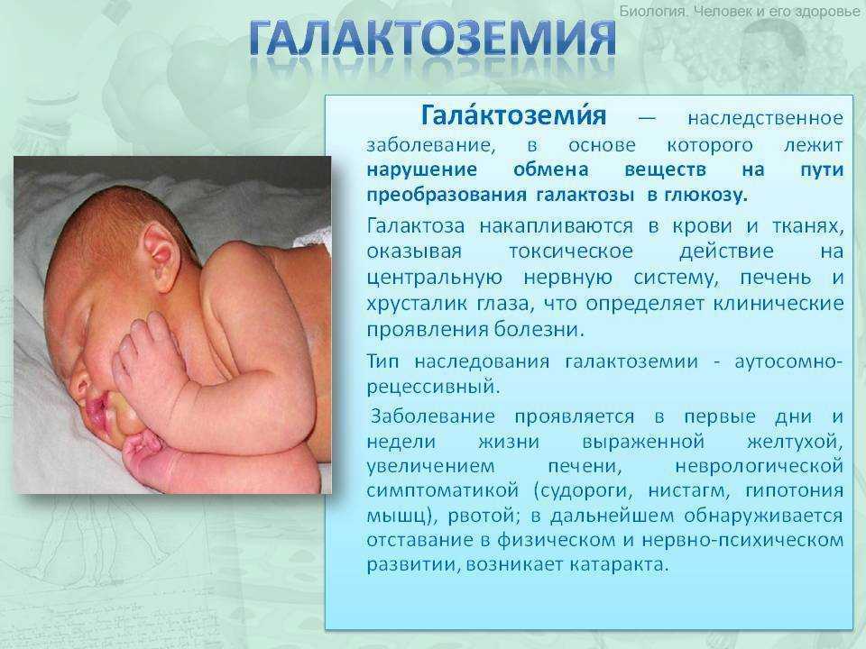 Галактоза: свойства и роль в организме | food and health