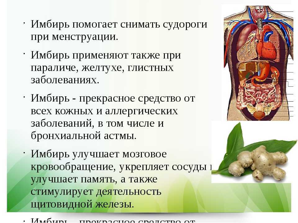 Маринованный имбирь польза и вред