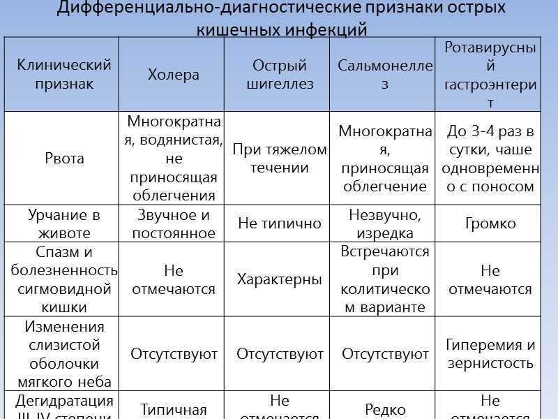 Кокцидиоз у кошек и собак