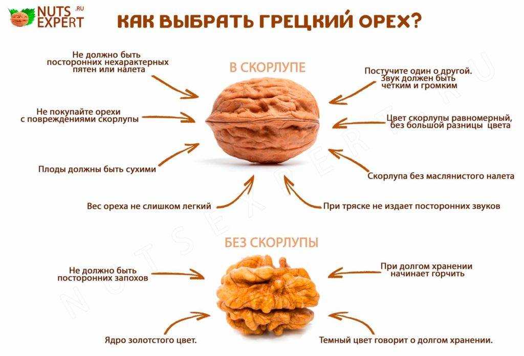 Грецкие орехи vs миндаль — что полезнее?