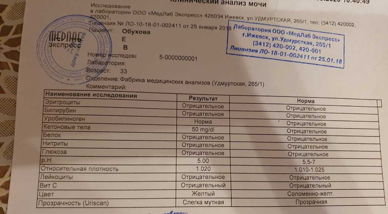 Сыпной тиф: возбудители и переносчики, диагностика и профилактика – эл клиника
