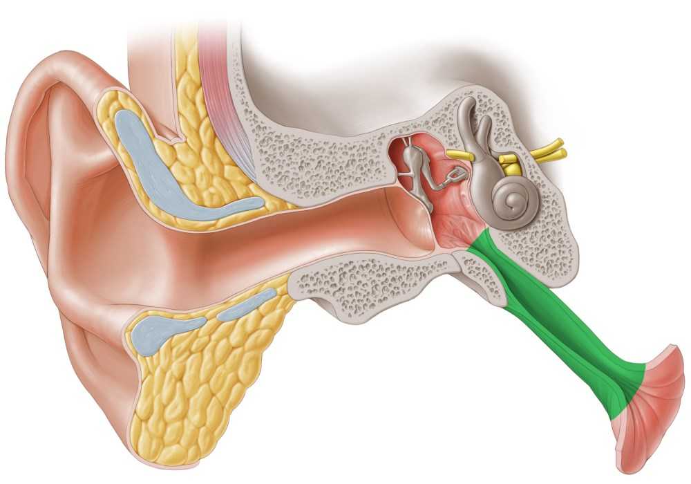 Заложенность уха тубоотит. Евстахиит воспаление слуховой трубы. Евстахиит барабанная перепонка.