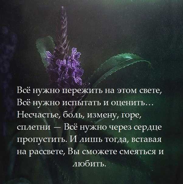 Почему ребенок часто злится и психует: как помочь агрессивному ребенку справиться с агрессией и истериками | фоксфорд.медиа  - фоксфорд.медиа