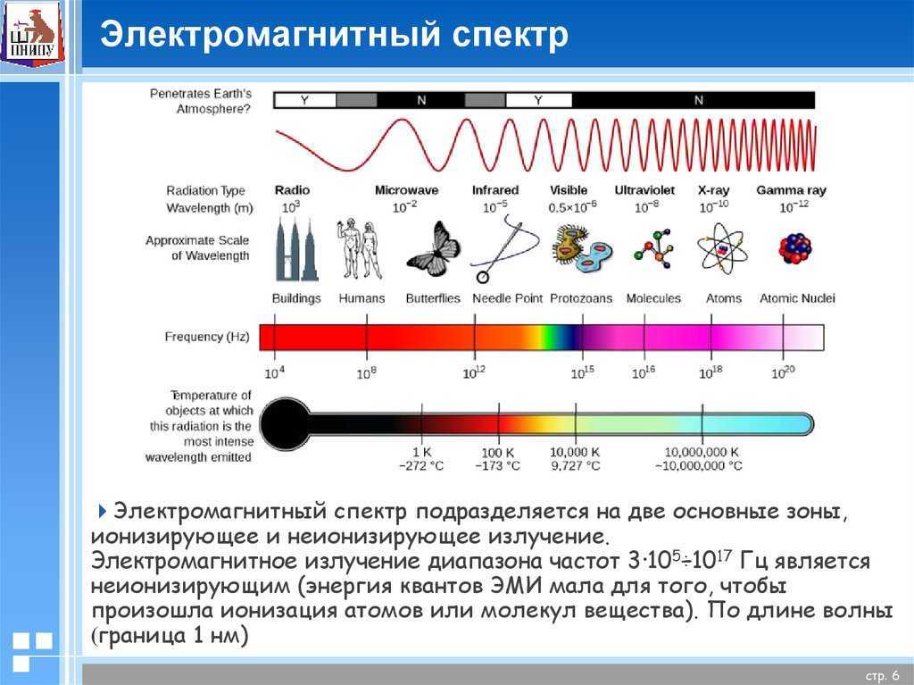 Запор кишечника: острый запор, симптомы, лечение, диагностика