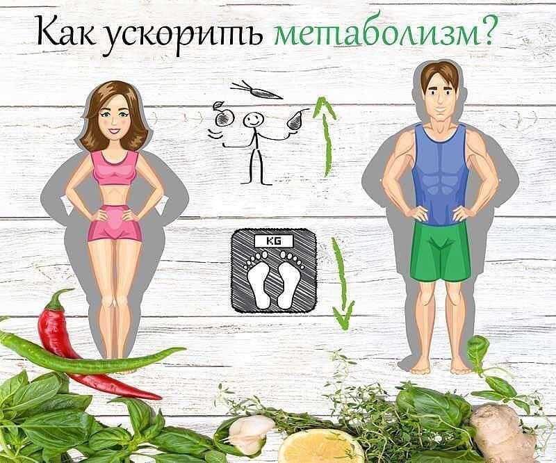 Как восстановить метаболизм: рекомендации и причины нарушения