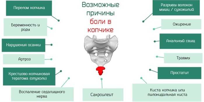 Киста почки молчалива, но опасна: чаще проверяйтесь на узи * клиника диана в санкт-петербурге