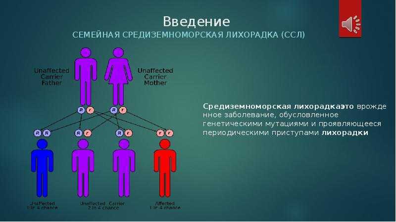 Семейная средиземноморская лихорадка