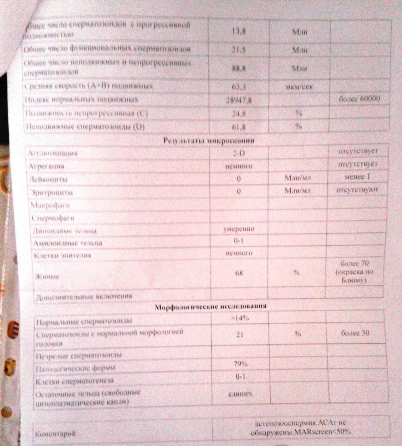 Образец результата спермограммы