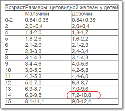 Гипофиз: функции, где находится, строение, роль