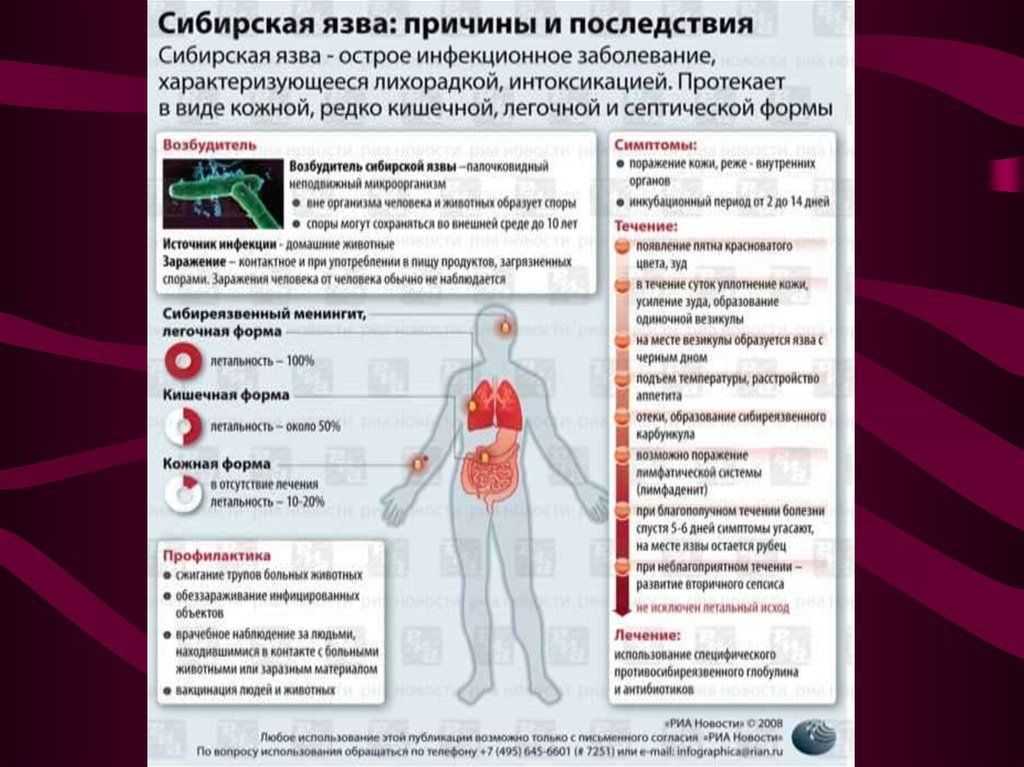 Сибирская язва