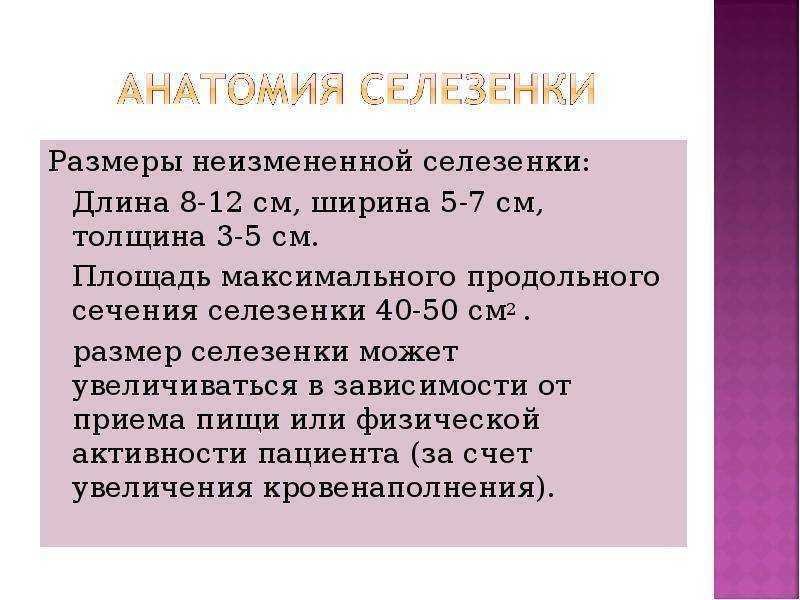 Рентген брюшной полости. показания и противопоказания. методы рентгенологического исследования органов брюшной полости. подготовка к процедуре