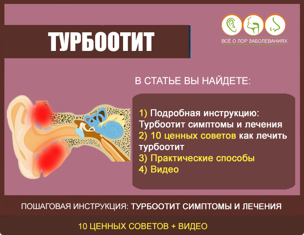 Среднее ухо и его функции – функции слуховых косточек - netotita.ru