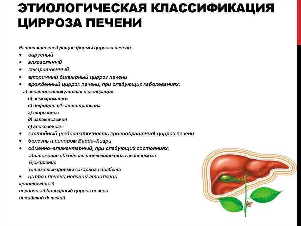Билиарный цирроз печени классификация. Классификация осложнений цирроза печени. Симптомы поражения печени. Цирроз печени признаки и симптомы лечение
