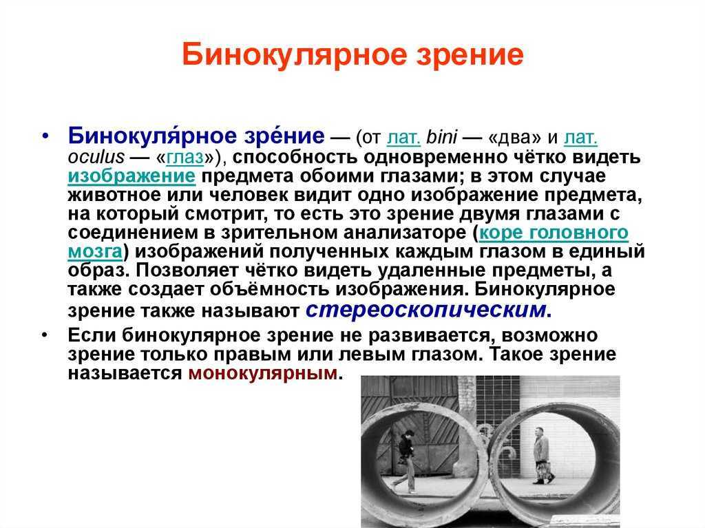 Что такое бинокулярное зрение