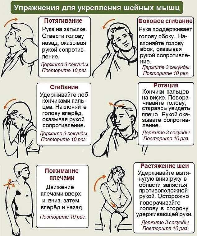 Мышцы, фасции и топография спины — yavmede.ru