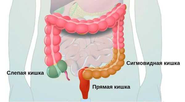 Долихосигма | симптомы | диагностика | лечение - docdoc.ru