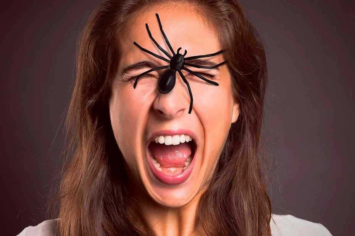 Боязнь насекомых – как называется фобия?