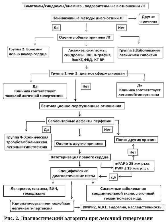 Схема лечения легочной гипертензии