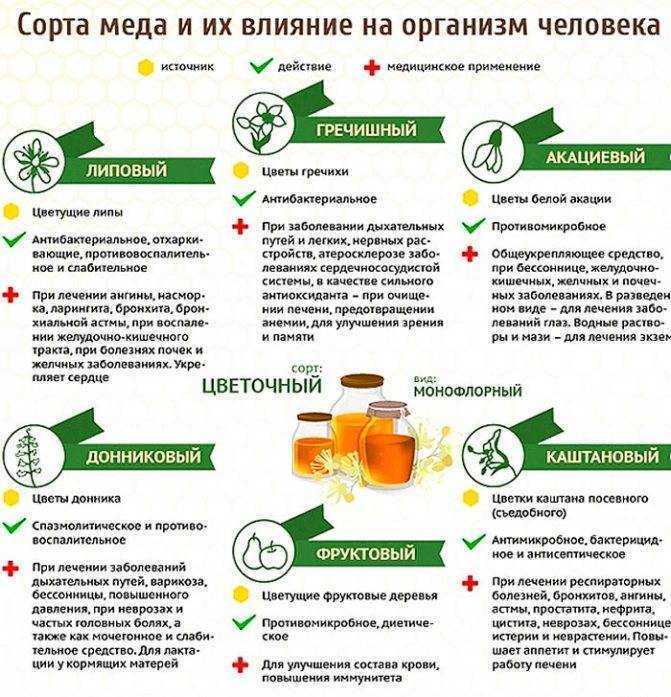 Эффективные лекарства от бронхита - пульмонология, фтизиатрия - статьи - поиск лекарств