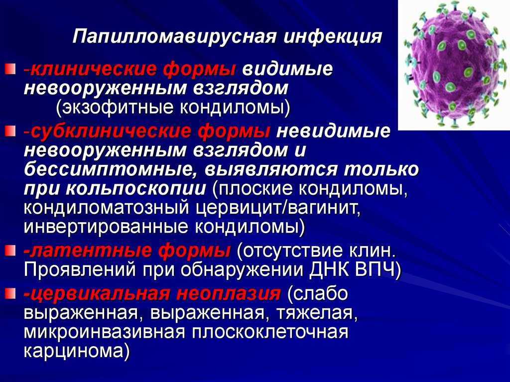 Впч в гинекологии. профилактика вируса папилломы человека