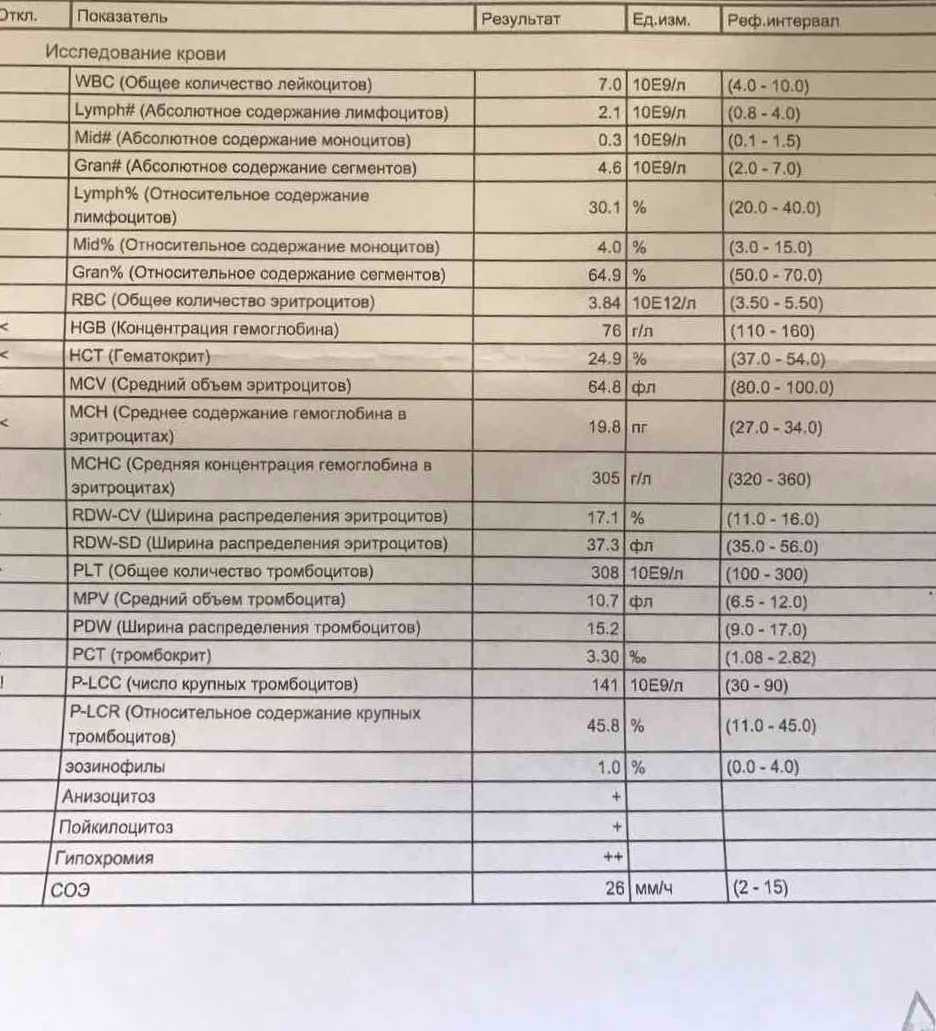 Расшифровать анализ крови общий у взрослого по фото онлайн бесплатно