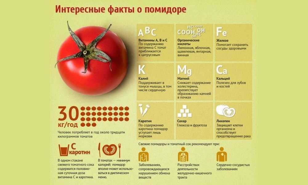 Польза томатного сока для организма мужчины