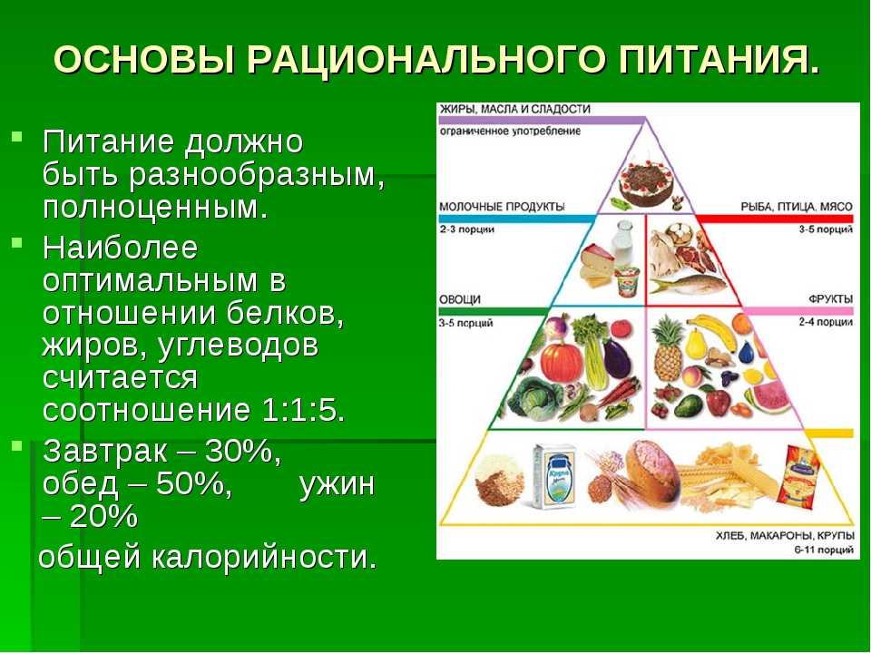 Греческая кухня | культура питания греков