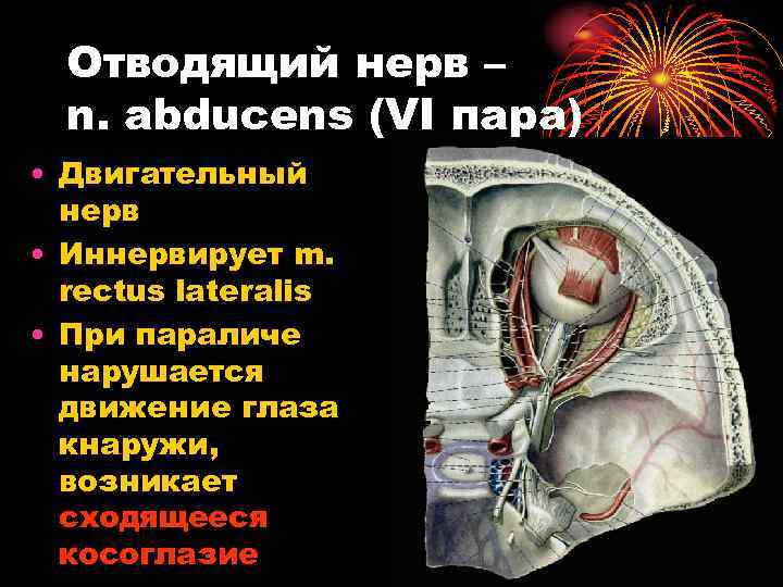 Отводящий нерв — традиция