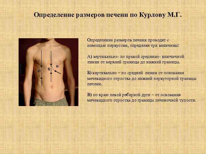 Пальпация и перкуссия печени: видео, норма и патологические отклонения