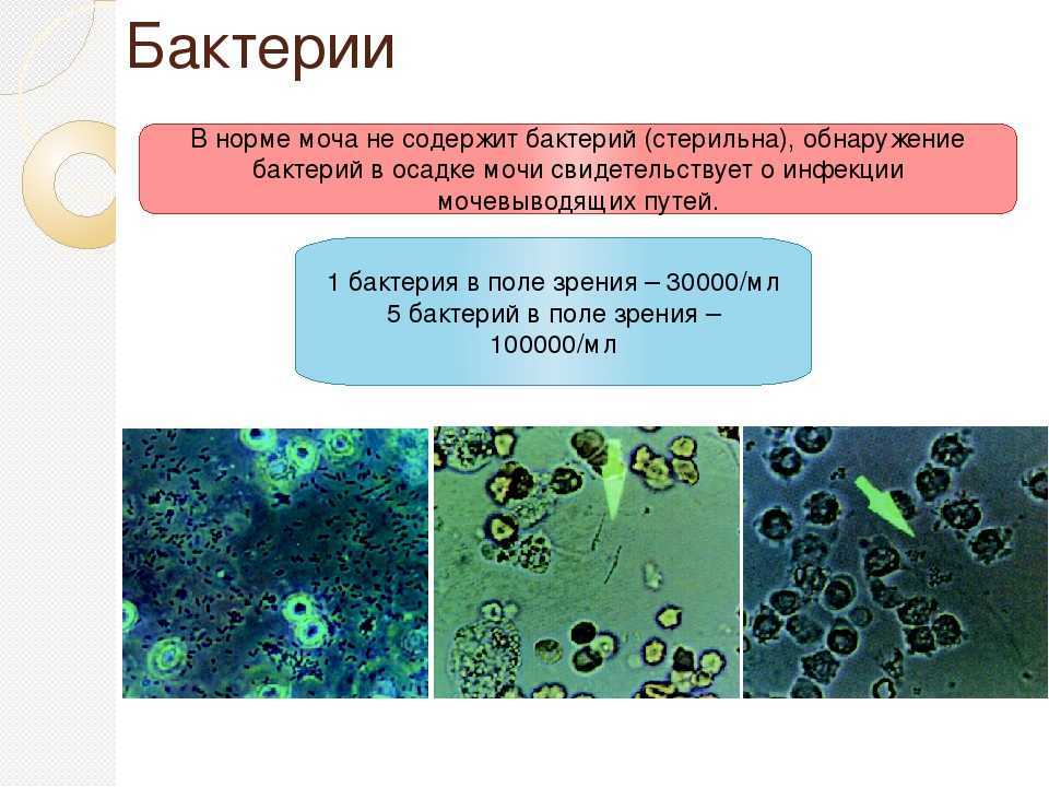 Что означают результаты анализов?