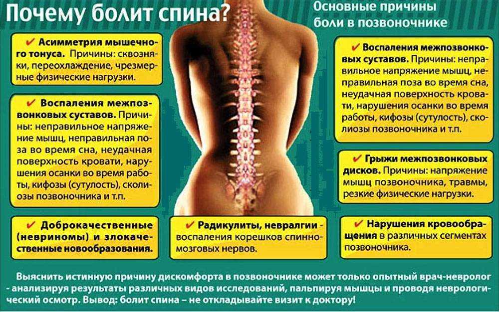 Взаимосвязь между болью в спине и заболеваниями жкт | стимбифид плюс