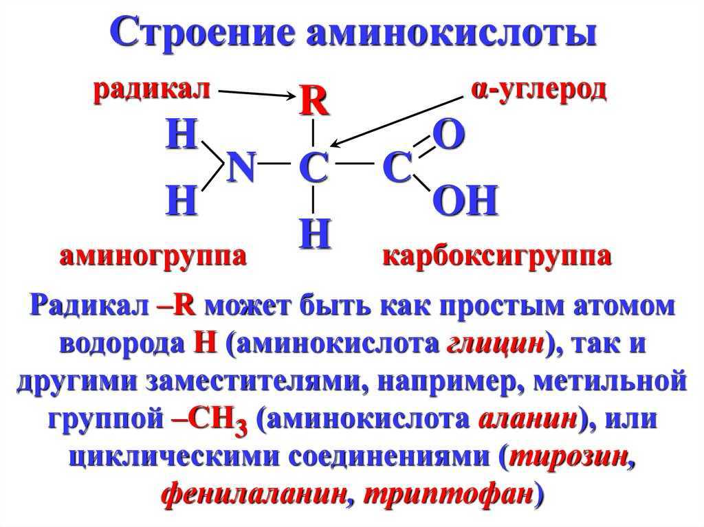 Тирозин - tyrosine - abcdef.wiki