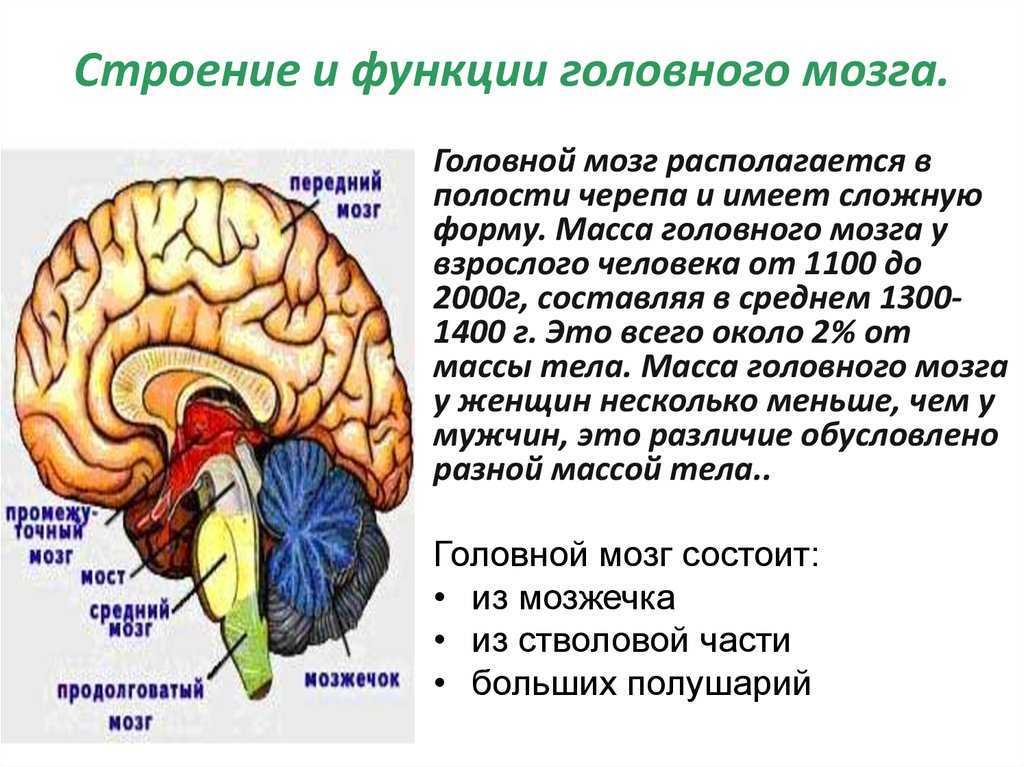 Поражение мозга