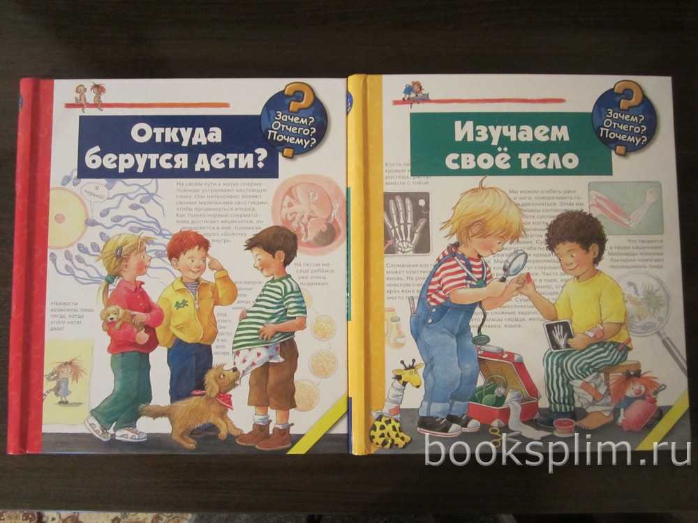 Как рассказать ребенку откуда берутся дети 8 лет в картинках