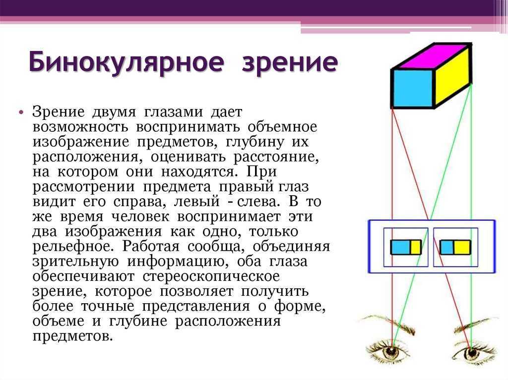 Бинокулярное зрение картинки