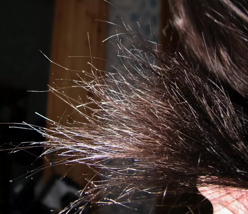 Чем можно вылечить сечение волос