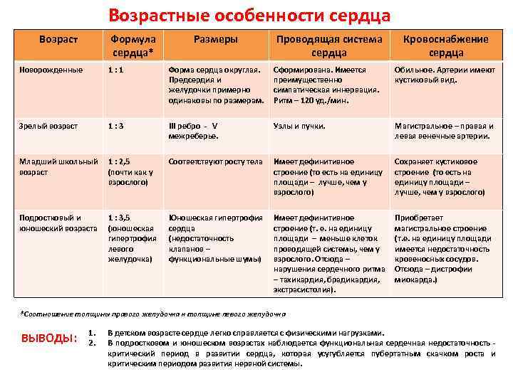 Возрастные особенности развития сердечно сосудистой системы презентация