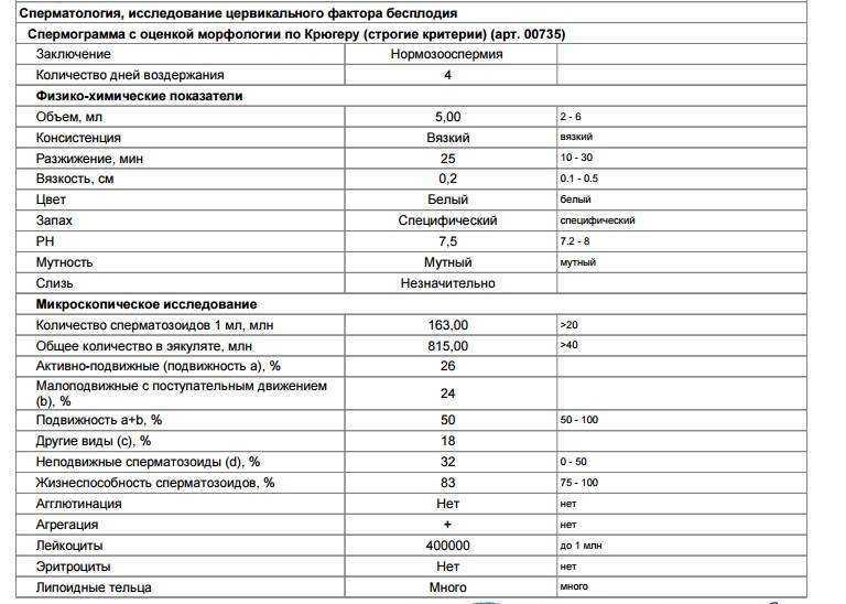 Как расшифровать спермограмму — бест фертил официальный сайт